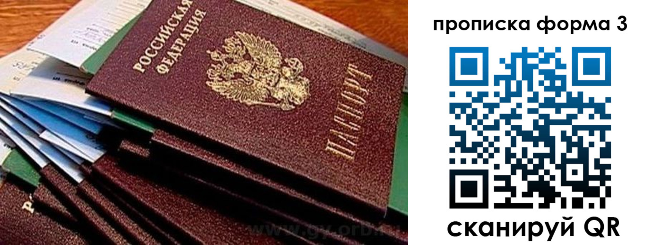прописка иностранных граждан в Палласовке